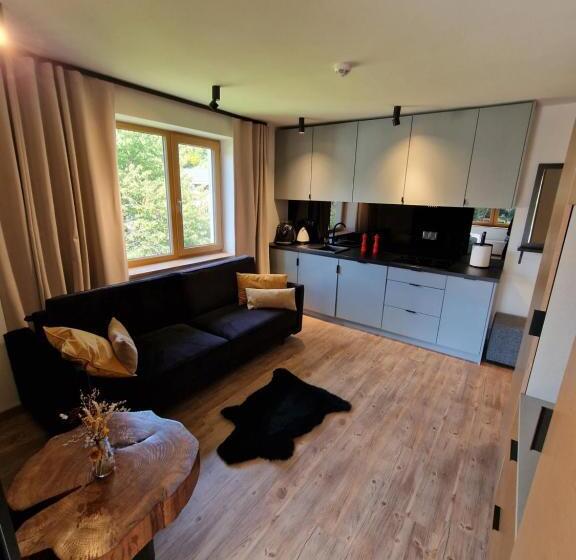 آپارتمان لوکس 1 خوابه, Willa 74 Wisła