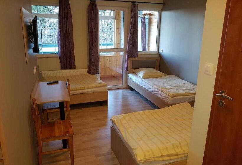 غرفة قياسية ثلاثية, U Musa