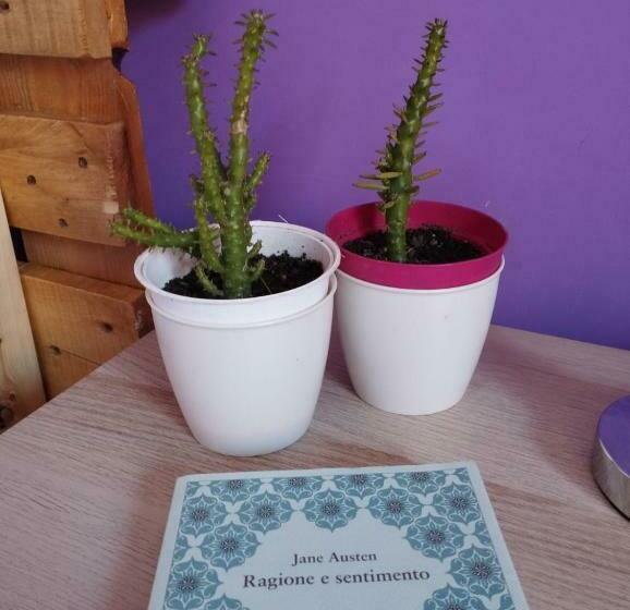 اتاق استاندارد با بالکن, Ferula Loft