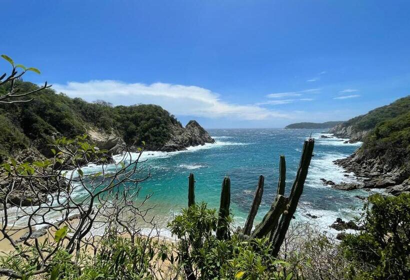 经济房, Huatulco Hermoso