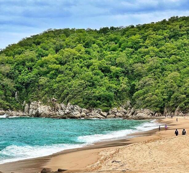标准工作室, Huatulco Hermoso