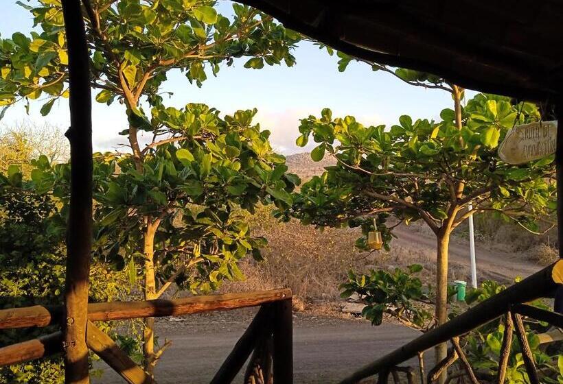 اتاق استاندارد با بالکن, El Pajas