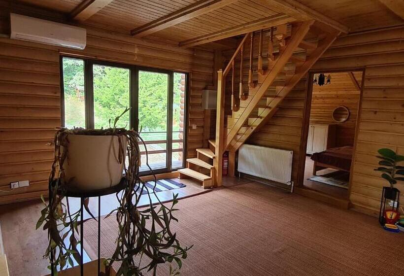 ویلای لوکس 1 خوابه, Lucky Rönk Vendégház