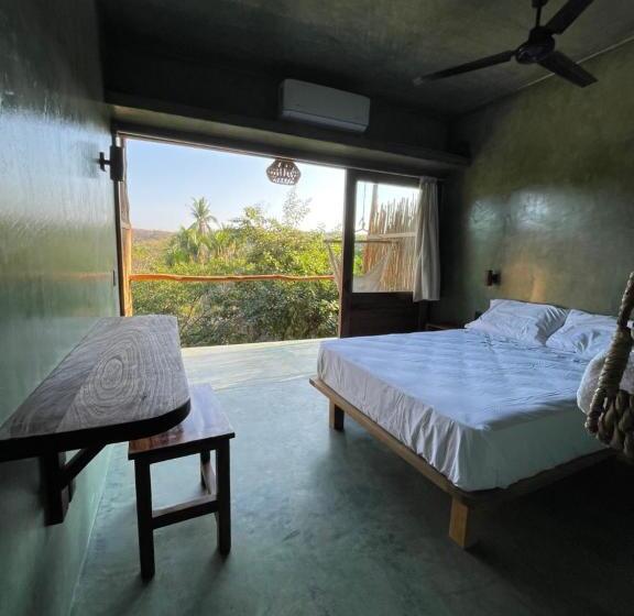 豪华房间, Cocos