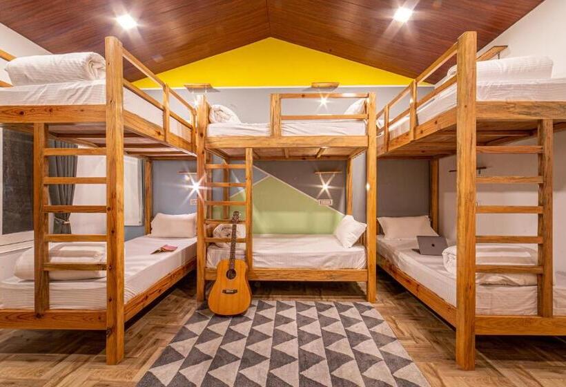 מיטה בחדר משותף, Zostel Plus Nainital