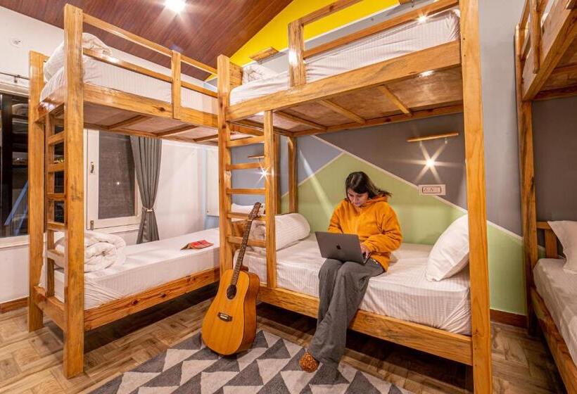 מיטה בחדר משותף, Zostel Plus Nainital