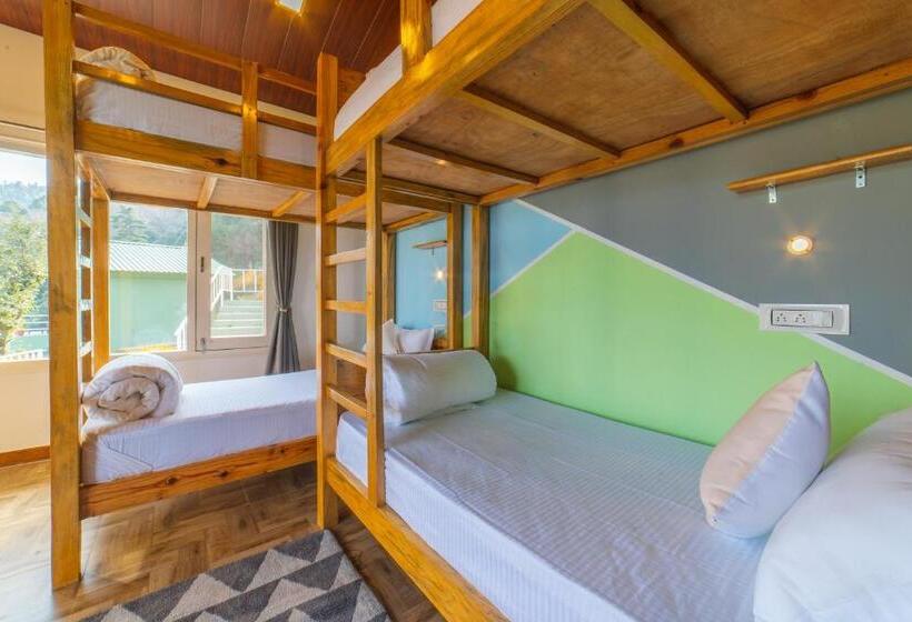 מיטה בחדר משותף, Zostel Plus Nainital