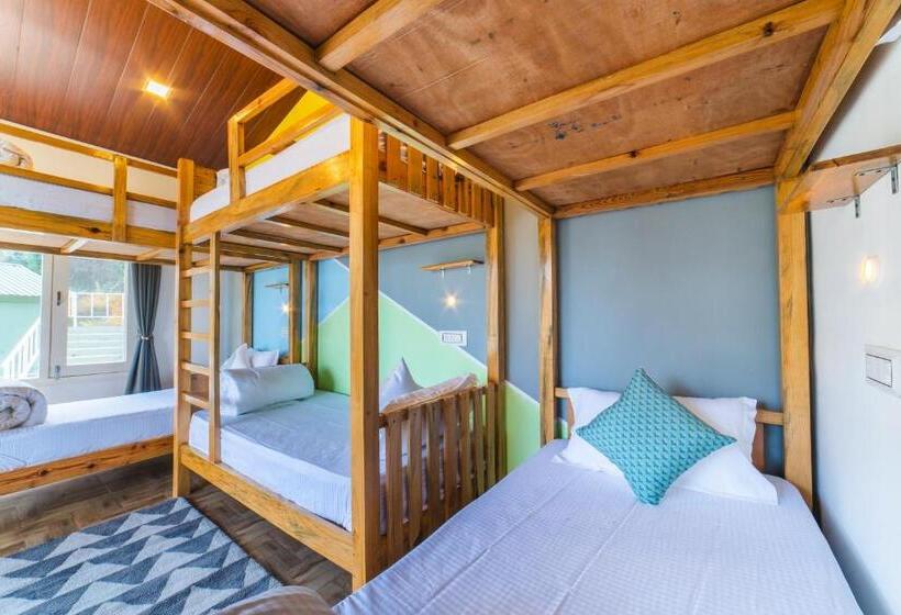 מיטה בחדר משותף, Zostel Plus Nainital