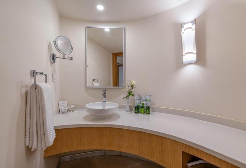 غرفة قياسية مطلّة علي الحديقة, Rixos Park Belek, The Land of Legends Access