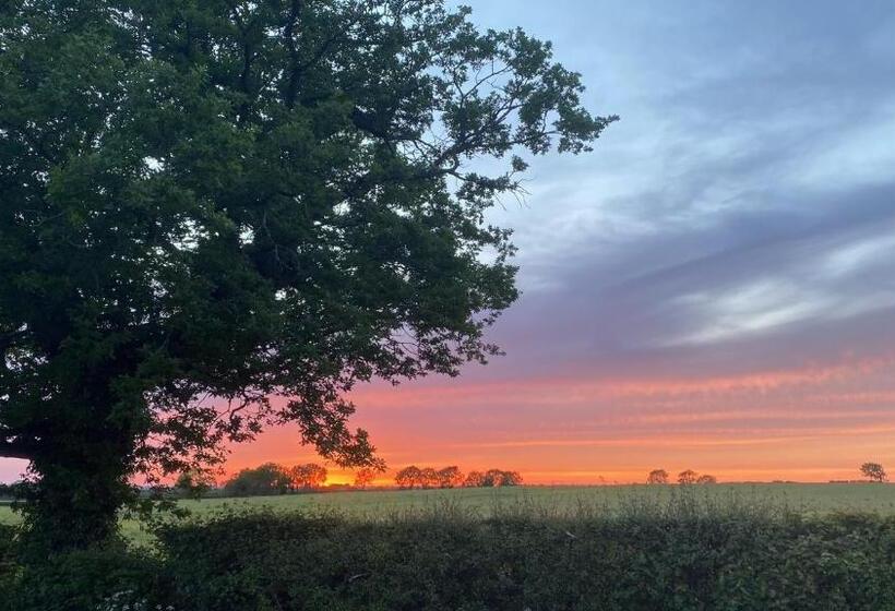 Номер Superior Кровать Кинг, Wellbet Farm