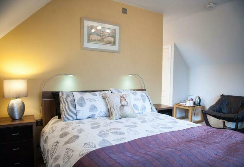 带大床的标准间, Homelands Apartment