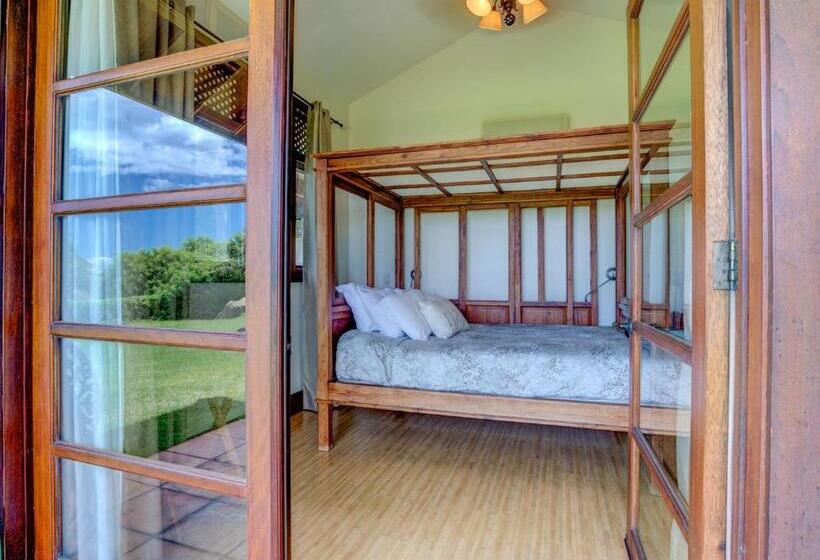 חדר סטנדרט נוף לים, Ho'oilo House
