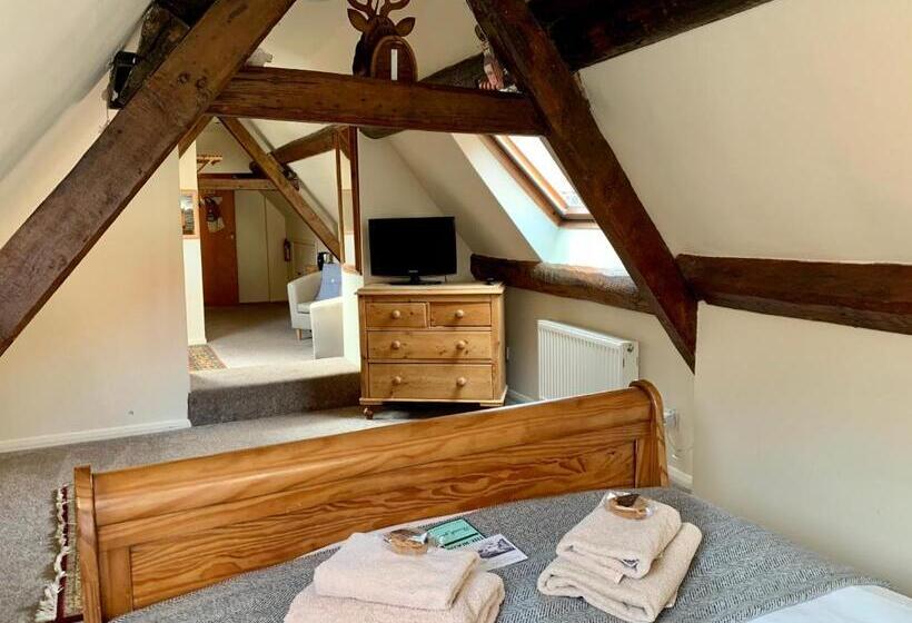 חדר סטנדרט, Sanders Yard