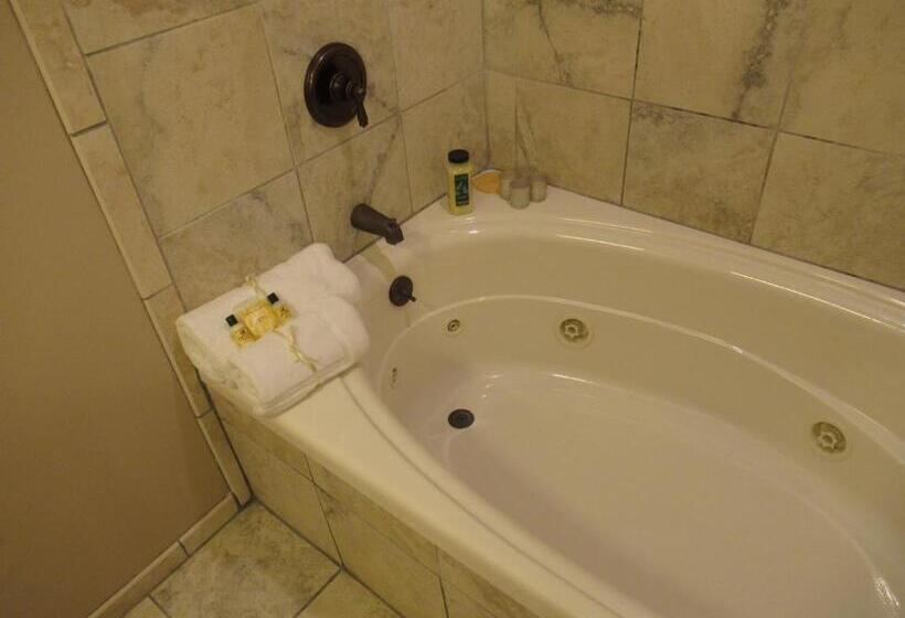 带大床的豪华间, Carrier Houses Bed & Breakfast