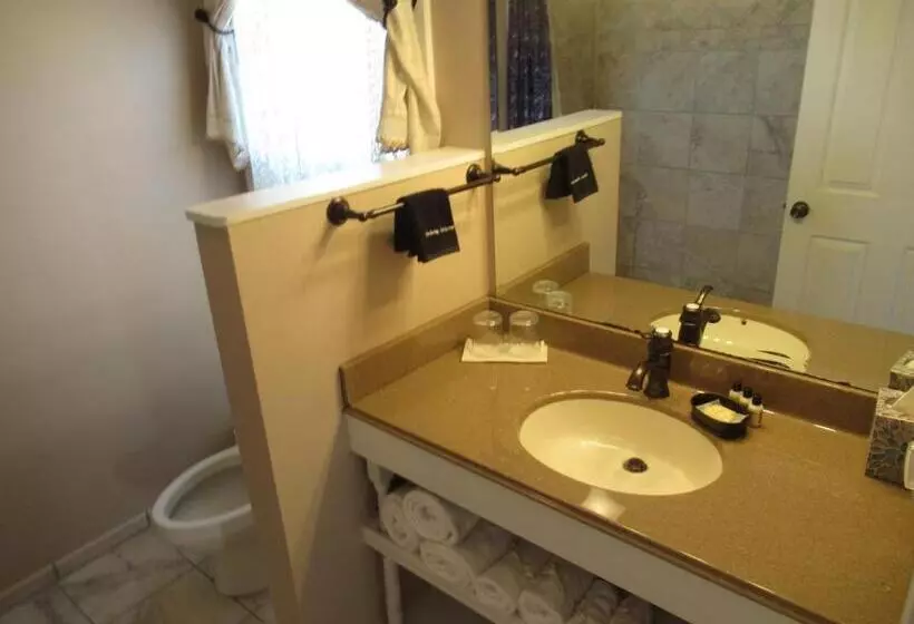 デラックスルーム, Carrier Houses Bed & Breakfast