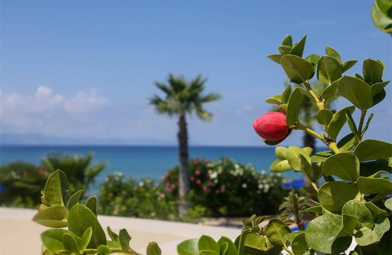 Deniz Manzaralı Süit, Hodges Bay Resort & Spa