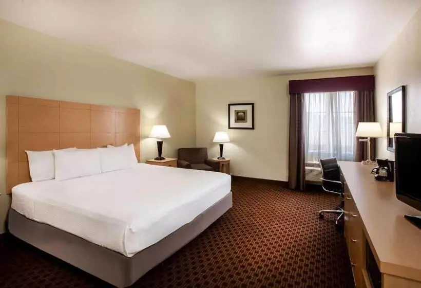 身障者適用キングサイズベッドルーム, La Quinta By Wyndham Odessa North
