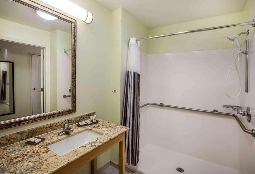 Номер Стандарт Кровать Кинг Адаптированный для Инвалидов, La Quinta By Wyndham Odessa North