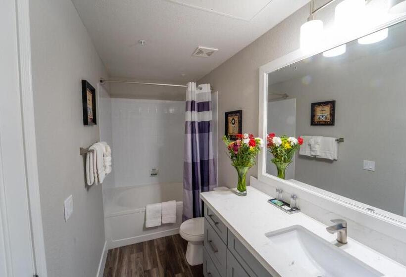 آپارتمان 1 خوابه, Luxury Condos By Meridian Condoresorts  Scottsdale