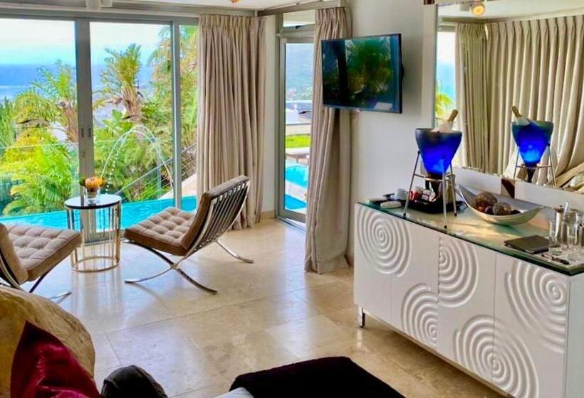 اتاق سوپریور با چشمانداز دریا, Atlanticview Cape Town Boutique