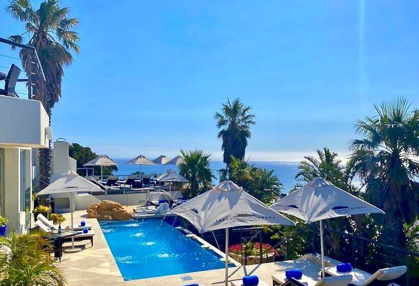 اتاق سوپریور با چشمانداز دریا, Atlanticview Cape Town Boutique