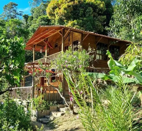 １ベッドルームハウス, Panchigua Hostel
