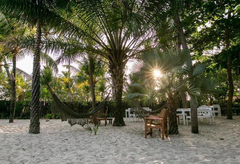 豪华房间, Muita Paz Rooms