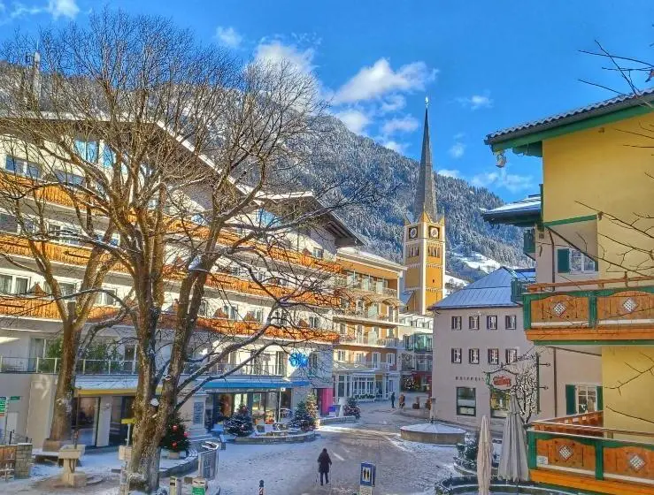 １ベッドルームのスーペリアアパートメント, Austria