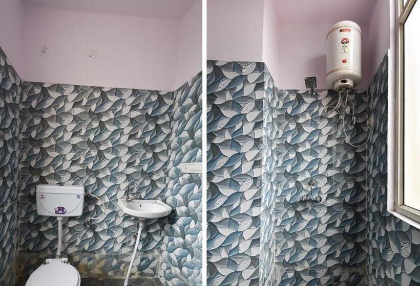 חדר קלאסי לשלושה, Flagship Ekta Palace