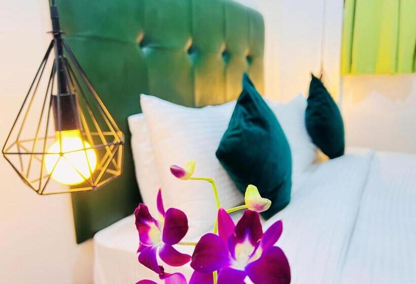 이코노미 룸, The Mayfield Resort, Vagator