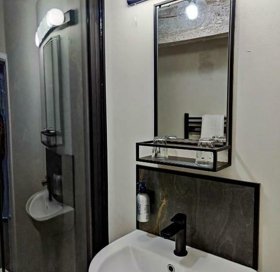 带大床的标准间, Plas Dolguog