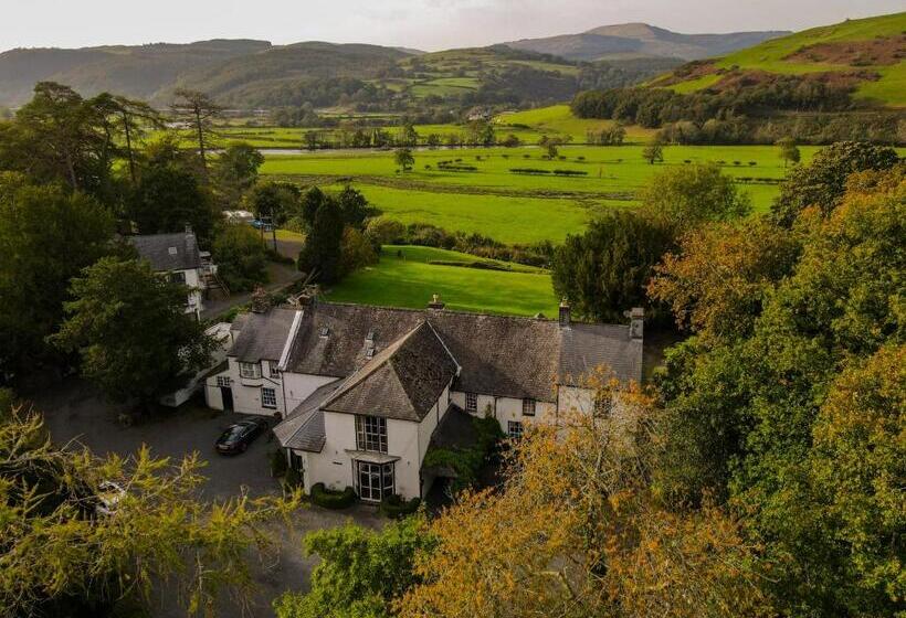 带大床的豪华间, Plas Dolguog