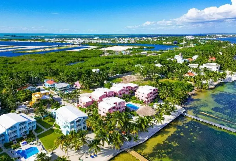 １ベッドルームアパートメント, Frangipani 8 At Caribe Island Gold Standard Certified