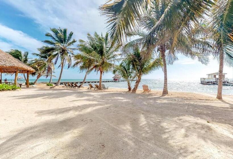 דירת חדר, Frangipani 8 At Caribe Island Gold Standard Certified