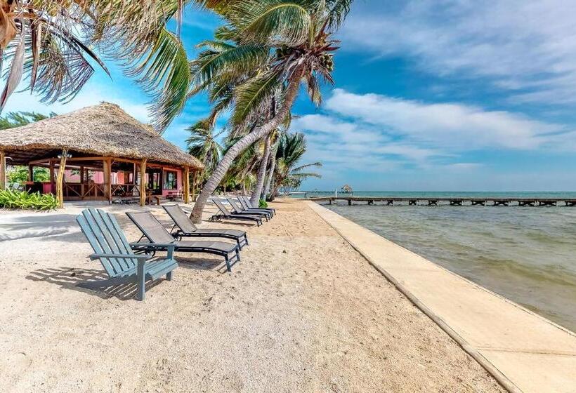 דירת חדר, Frangipani 8 At Caribe Island Gold Standard Certified