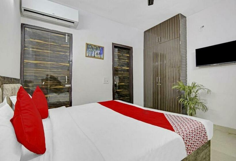 Quarto Triplo Clássico, Green Olive