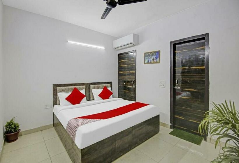 Quarto Triplo Clássico, Green Olive