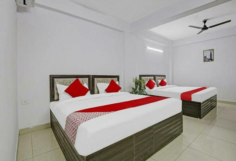 Quarto Triplo Clássico, Green Olive