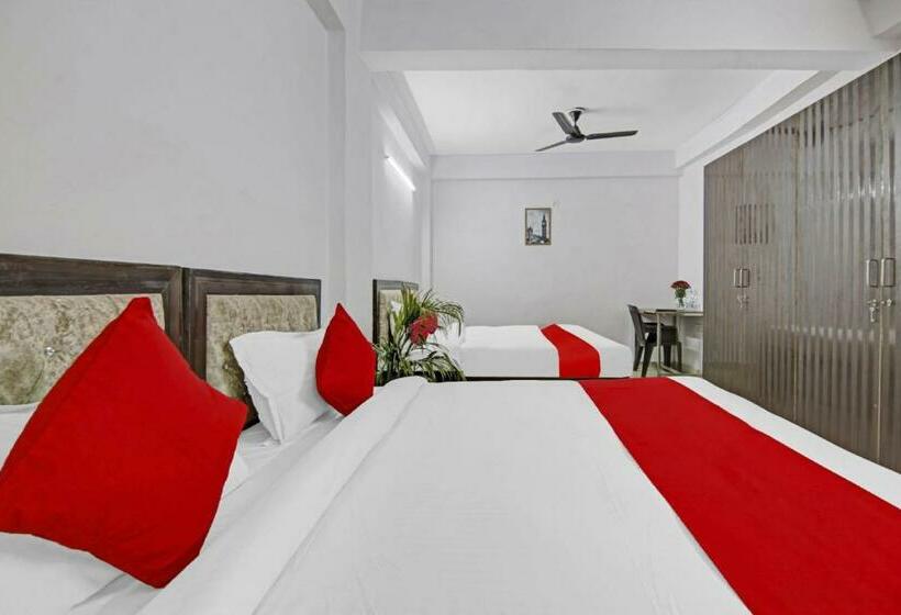 Quarto Triplo Clássico, Green Olive