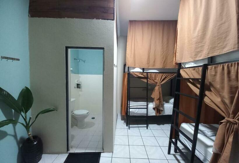 מיטה בחדר משותף, El Coyote