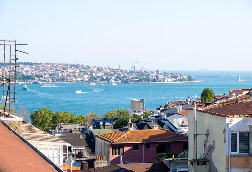 スタンダードスタジオ, Wind Suit