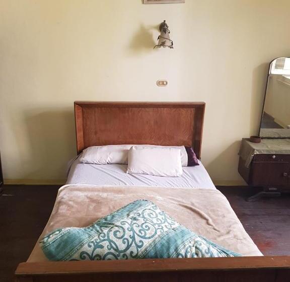 اتاق اکونومی یک تخته, Clement S House Hostel