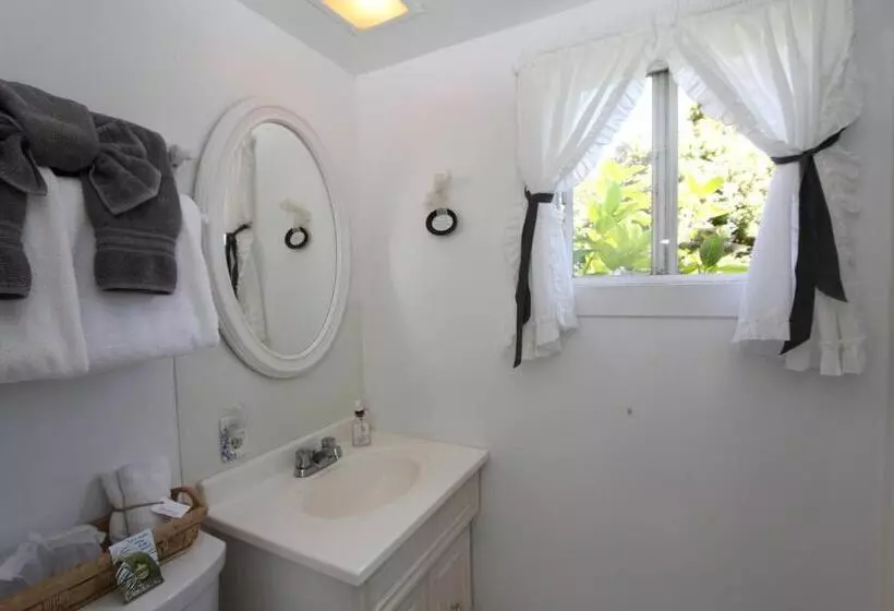 Deluxe-huone Parveke, Seagull Inn Bed & Breakfast