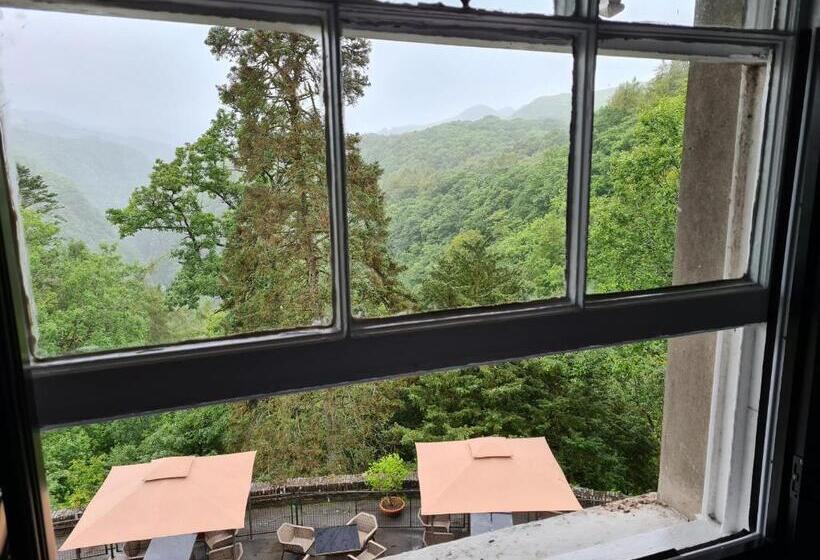 غرفة قياسية, The Hafod