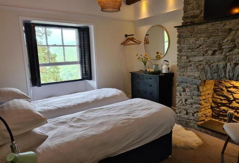 חדר סטנדרט, The Hafod