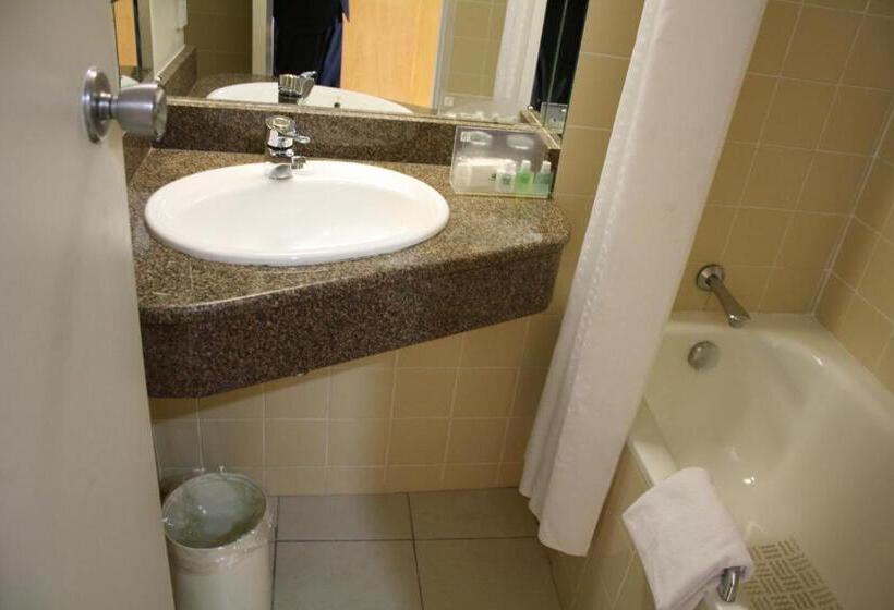 اتاق استاندارد, Cresta Oasis