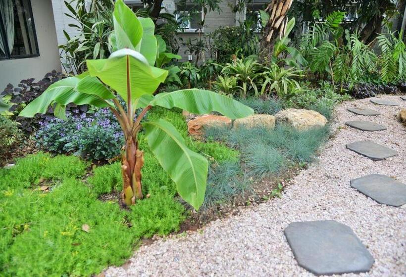 اتاق استاندارد یک نفره, Cresta Oasis