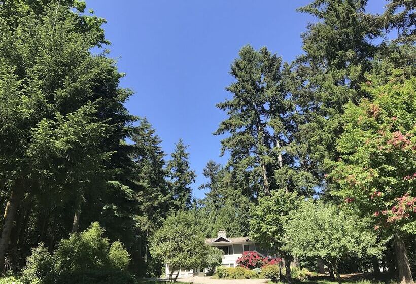 اتاق راحتی, Maple View Bed And Breakfast