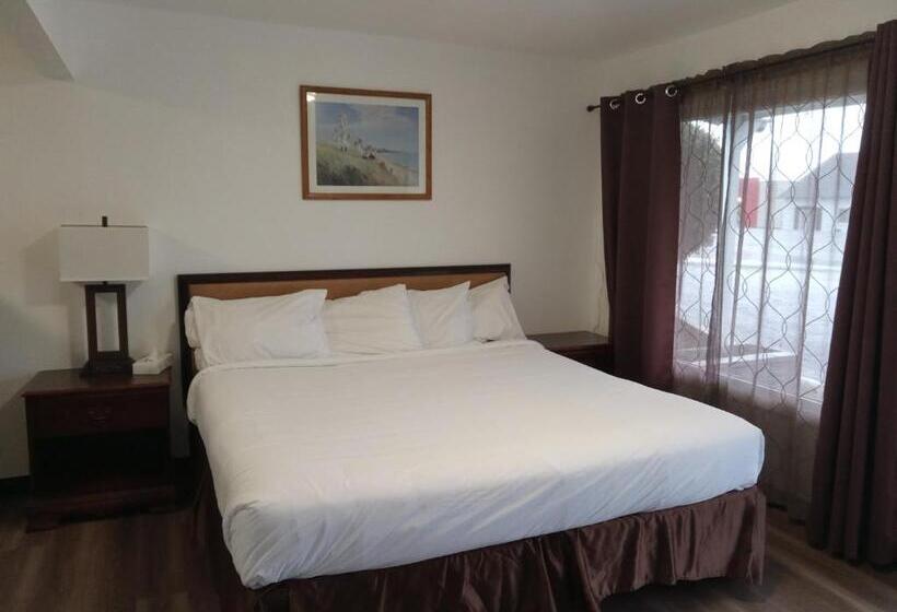 스탠다드 룸 킹사이즈 침대, Blue Coast Inn & Suites
