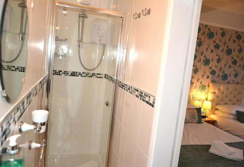 Номер Стандарт Индивидуальный, Ashlea Guest House